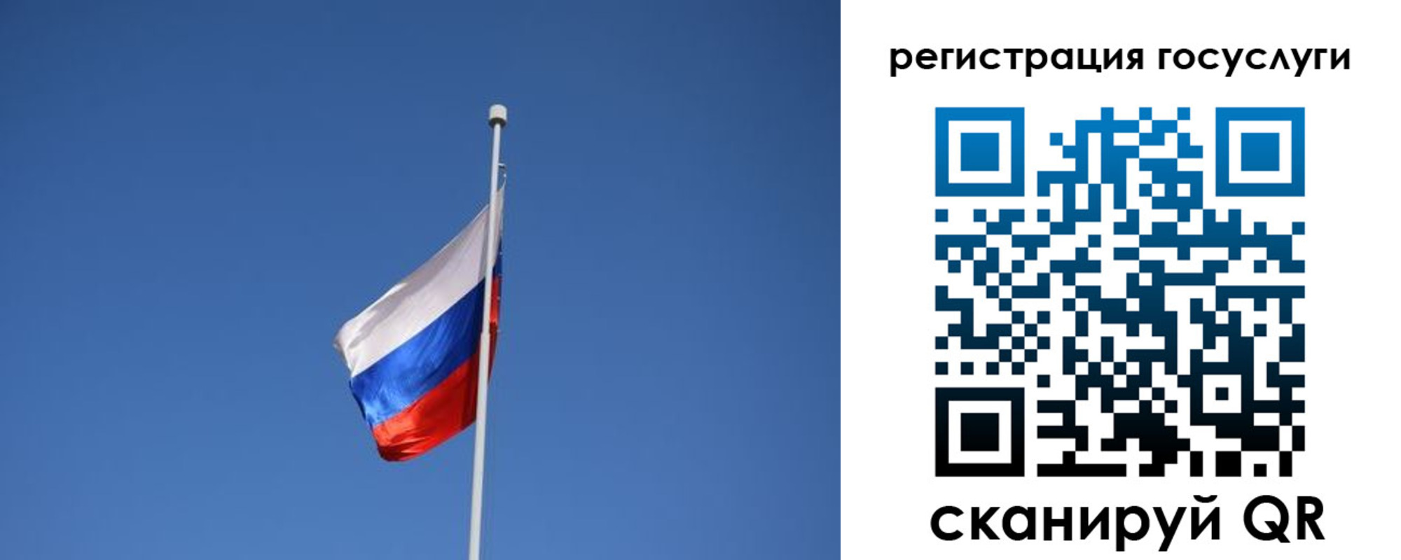 временная регистрация надежно в Железногорске